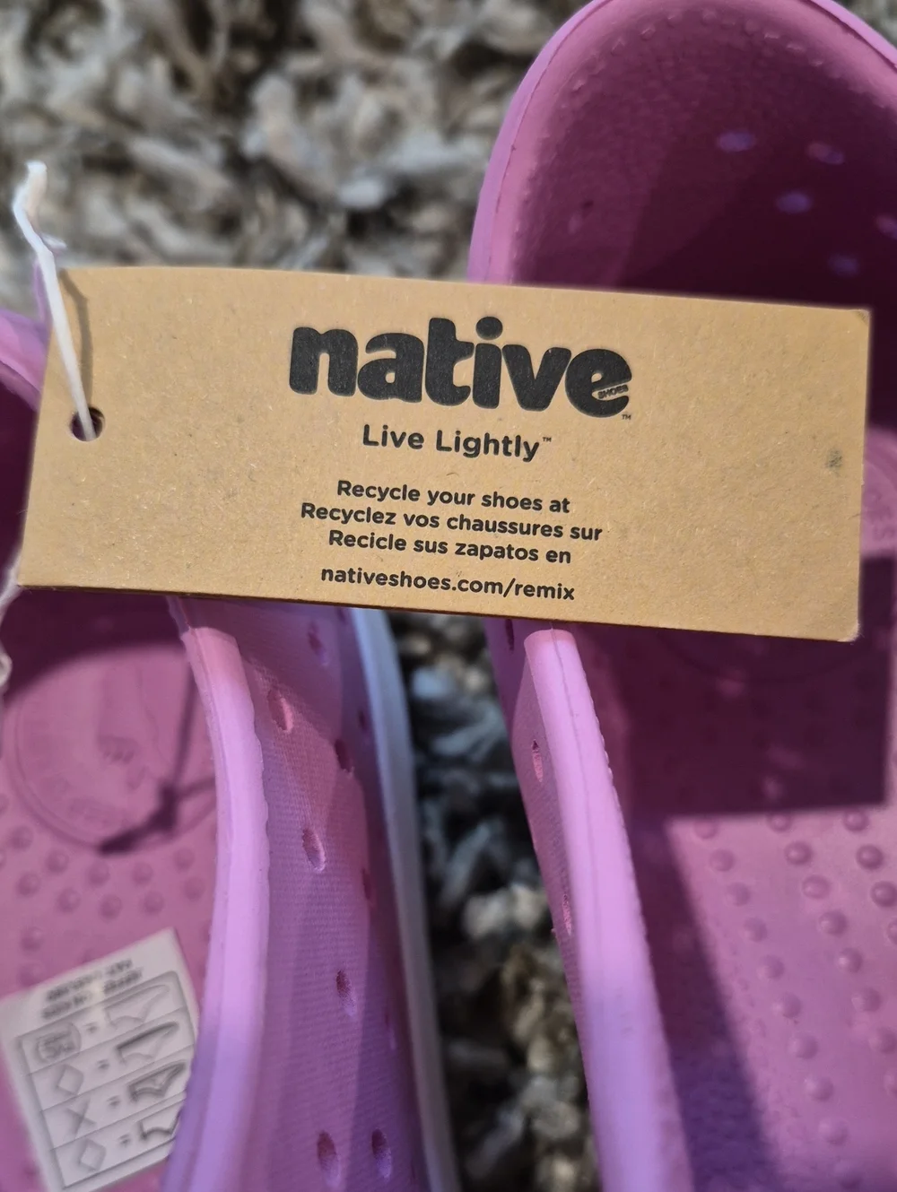 Native Jefferson Shoes In Winterberry Pink